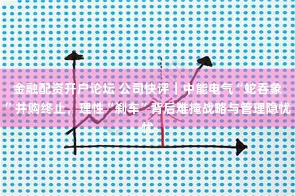 金融配资开户论坛 公司快评｜中能电气“蛇吞象”并购终止，理性“刹车”背后难掩战略与管理隐忧