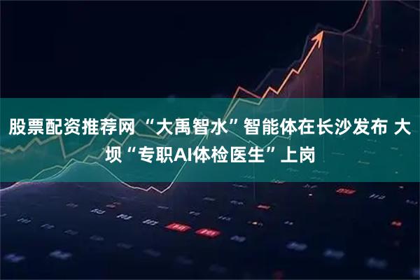 股票配资推荐网 “大禹智水”智能体在长沙发布 大坝“专职AI体检医生”上岗